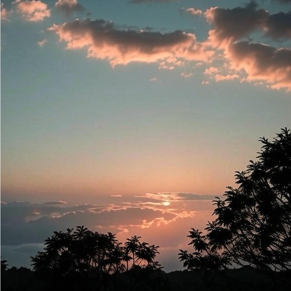 Meet your Posher, Joanie - Picture 2 of 2